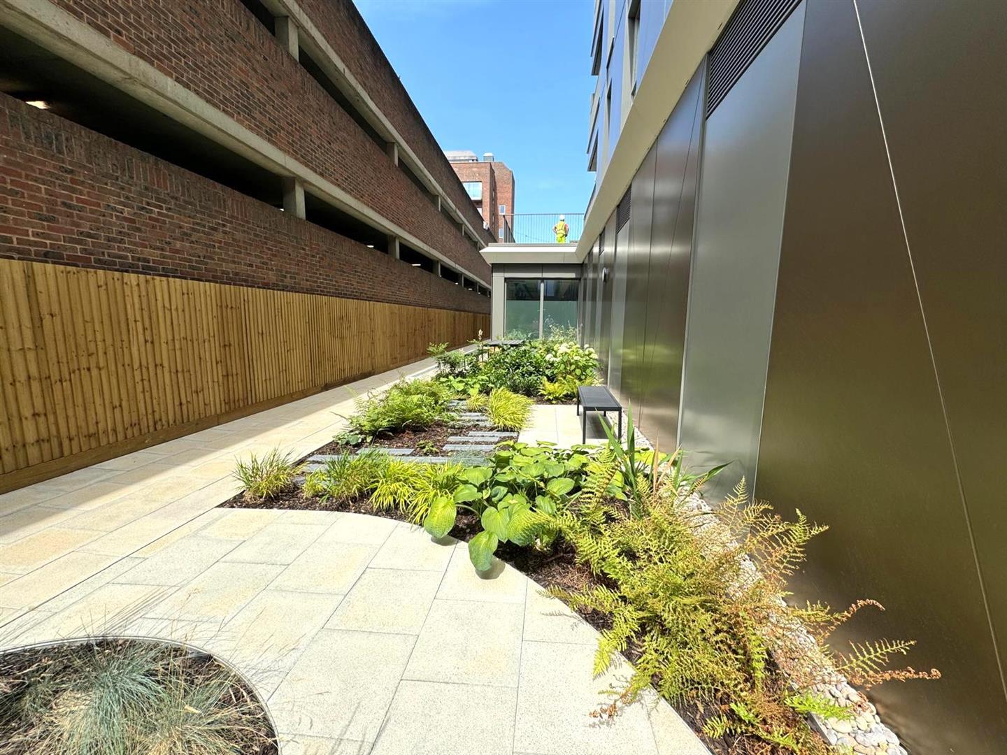 Courtyard garden pic 3.jpeg