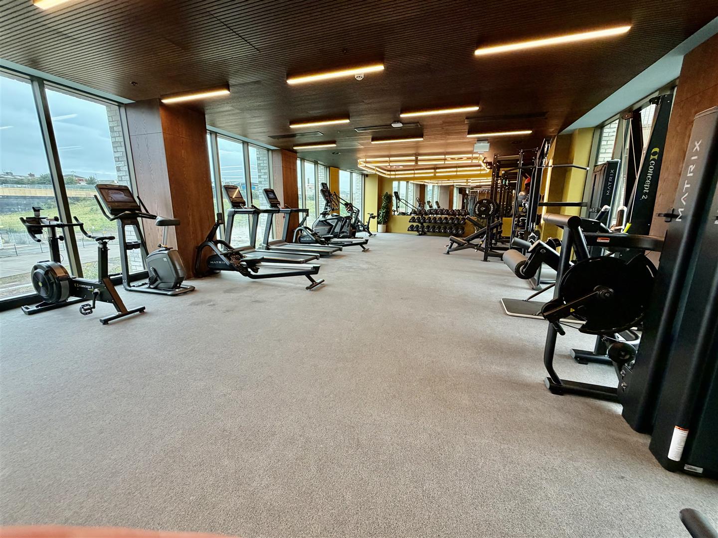 Gym.jpeg